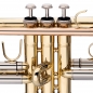 Mobile Preview: "Musik Mohr Trompete" Bb Trompete, ML-Bohrung, Mundrohr in Goldmessing