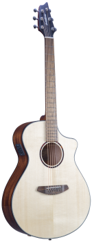 BREEDLOVE® DISCOVERY S CONCERT CE