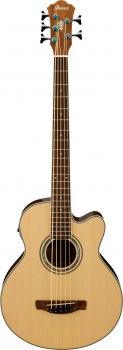IBANEZ AEB Series AEB105E-NT Akustik Bass 5 String Natural High Gloss *Aussteller*