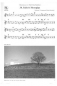 Preview: Irish guitar tunes