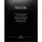 Preview: Lagenwechsel op 8 Sevcik