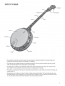 Preview: Hal Leonard Tenor Banjo Method