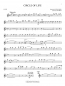 Preview: The Lion King for Flute+Online Audio