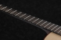 Preview: Ibanez AAD300CE-LGS Westerngitarre
