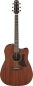 Preview: Ibanez AAD440CE-LGS Gitarre