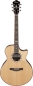 Preview: Ibanez MRC10-NT Gitarre