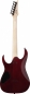 Preview: Ibanez Gio GRGR221PA-AQB E-Gitarre
