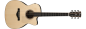Preview: Ibanez ACFS580CE-OPS Westerngitarre inkl. Koffer