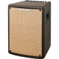 Preview: Ibanez T80II Acoustic-Combo