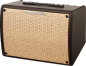 Preview: Ibanez T30II Acoustic-Combo