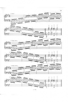 Der Klaviervirtuose Hanon (verkürzte Ausgabe)