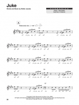 Chicago Blues Harmonica Play-Along Volume 9