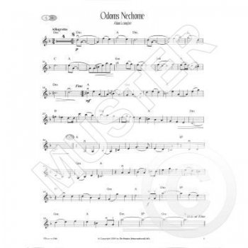 All Time Klezmers Violine