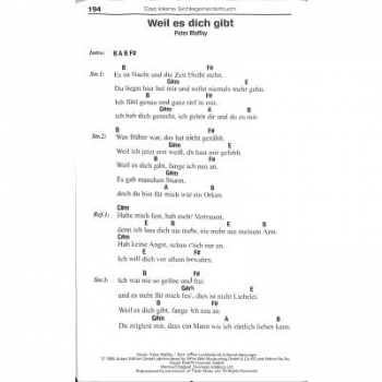 Das kleine Schlagerliederbuch