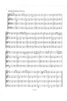 Preview: Fiddle tunes - irische Musik für Streicher