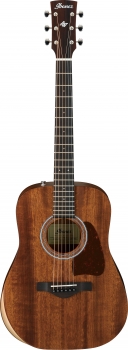 Ibanez AW54JR-OPN  Westerngitarre