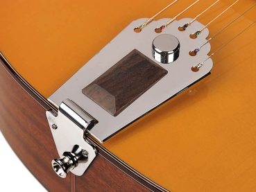 Richwood Hot Club Jazz Guitar