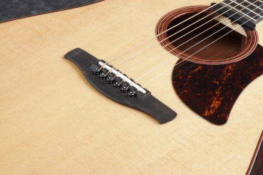 Ibanez AAD300CE-LGS Westerngitarre
