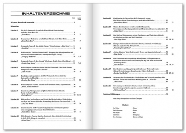 Preview: Blues you can use - Der Blues-Bestseller aus den USA!