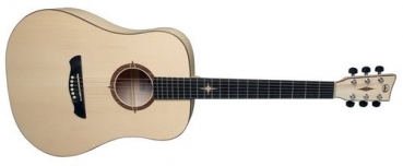 GEWA AKUSTIKGITARRE P-10 POLARIS