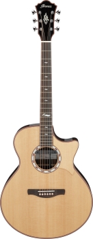 Ibanez MRC10-NT Gitarre