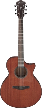 IBANEZ AE 6-Str Natural Low Gloss Incl. Case