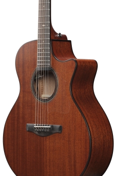 Preview: IBANEZ AE 6-Str Natural Low Gloss Incl. Case