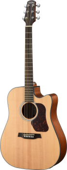 WALDEN WAD550CE Westerngitarre, Dreadnought Cut, Decke massiv, Mattlack, EQ