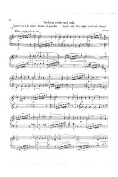 Der neue Weg 2 - unter - Mittelstufe Klavier