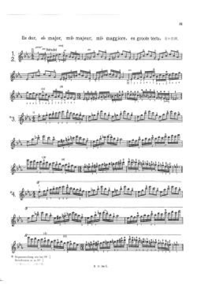 Das Skalensystem Violine, Flesch