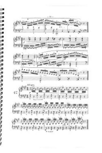 Studienwerke 1 Czerny/Germer