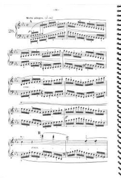 Studienwerke 2 Czerny/Germer
