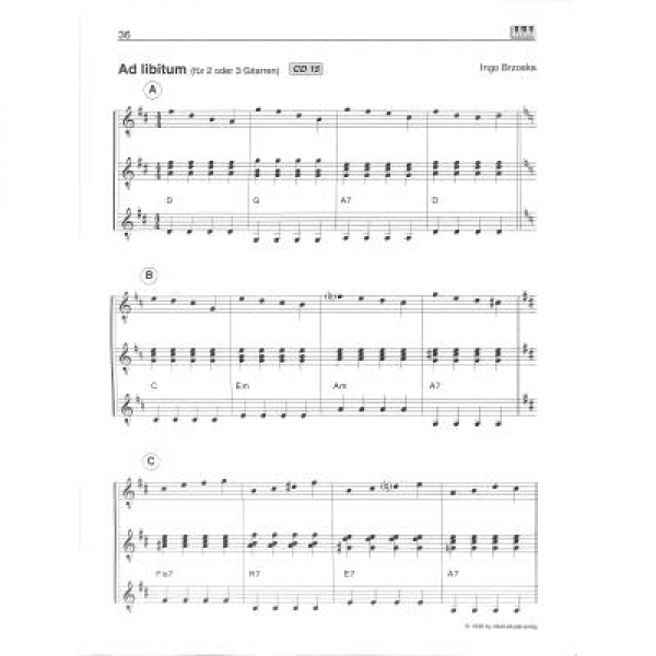 AMA Gitarrenspielereien
