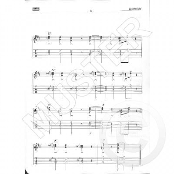 AMA Play Blues Guitar