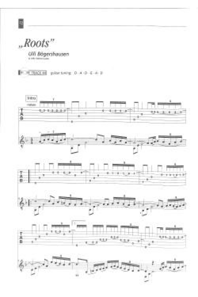 Fingerstyle Guitar leicht gemacht