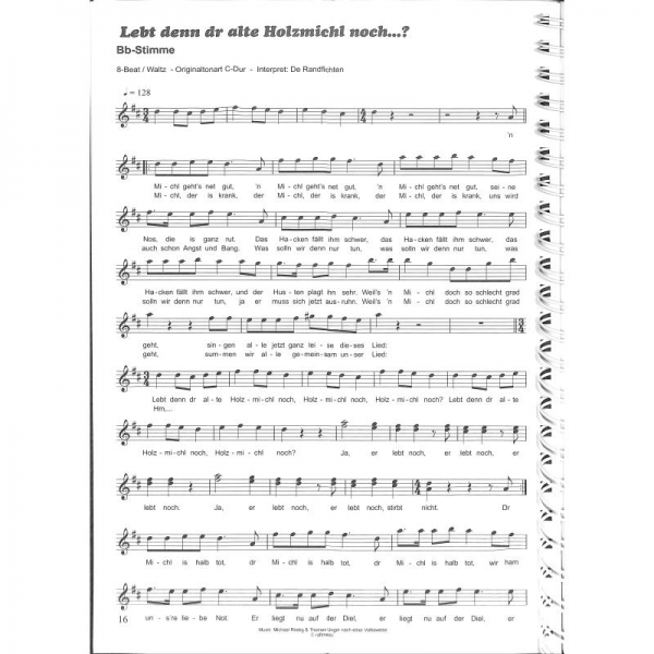 100 Hits für Bb und Eb Instrumente
