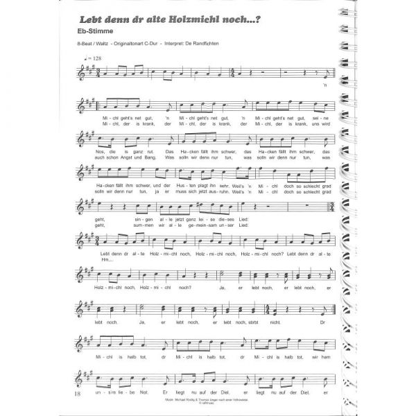 100 Hits für Bb und Eb Instrumente
