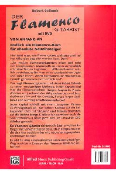 Der Flamenco Gitarrist