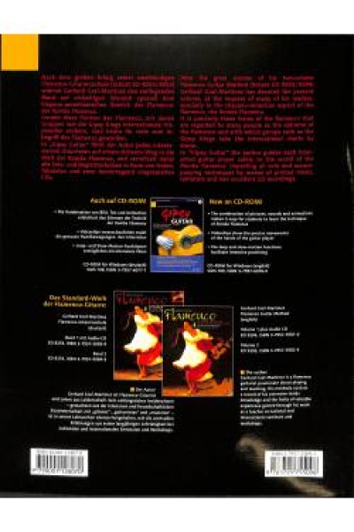 Gipsy guitar
