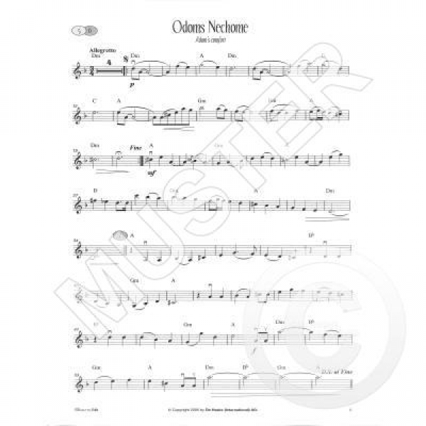 All Time Klezmers Violine