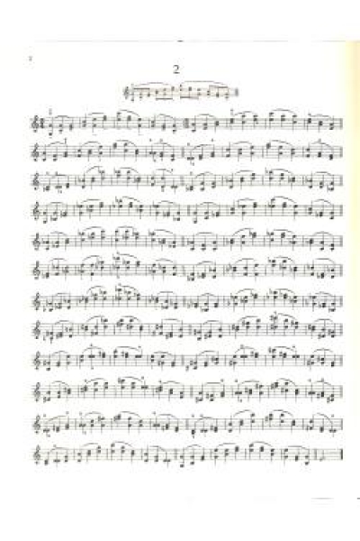 Schule der Violintechnik op 1/2 Sevcik