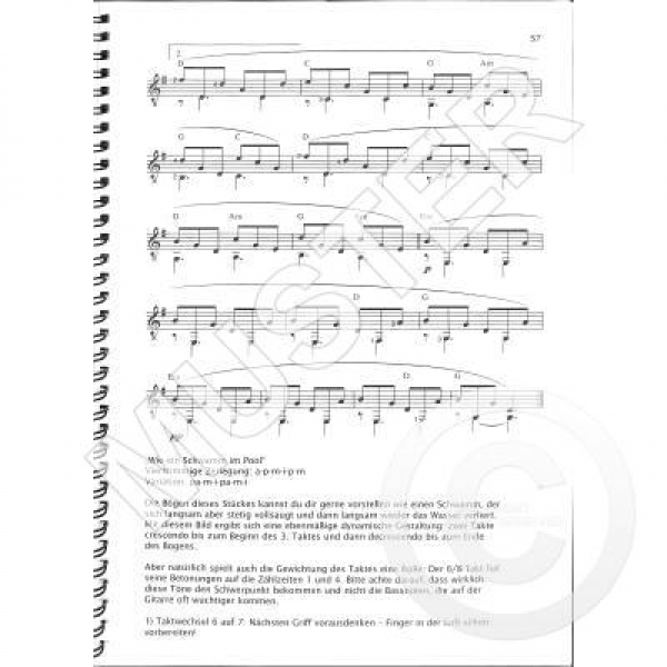 DUX Mein Gitarrenbuch