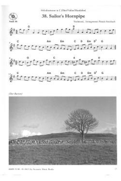 Irish guitar tunes