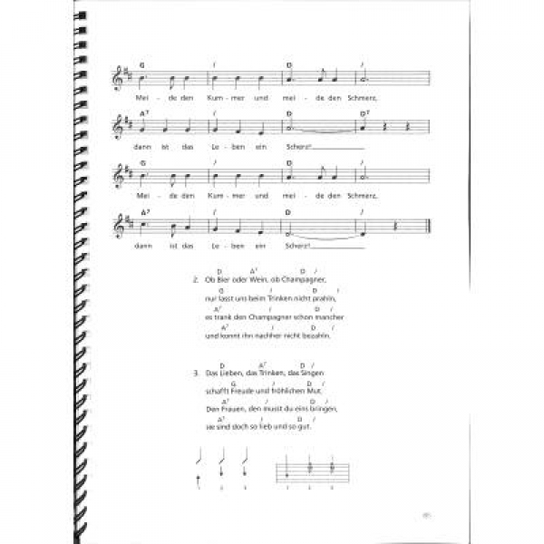 DUX Singen hät jung - Gitarre