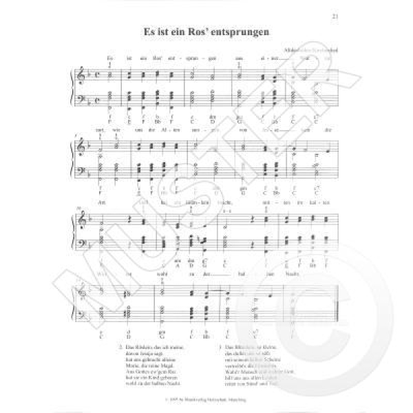 Weihnachtslieder aus aller Welt - Akkordeon