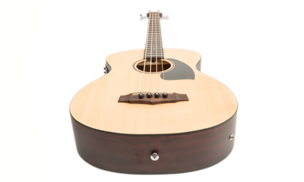 Ibanez PCBE12-OPN