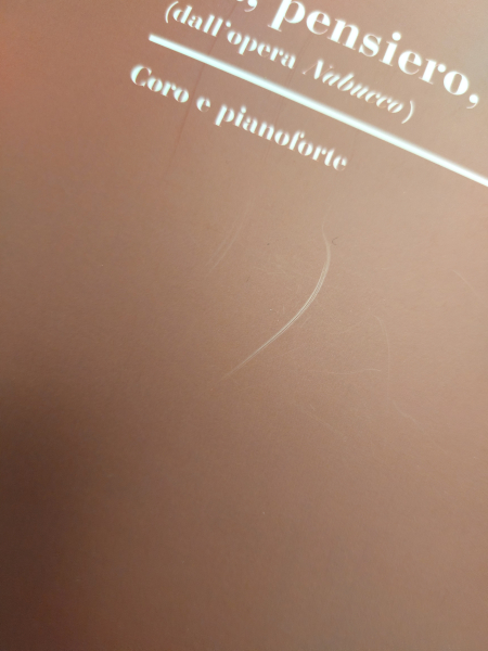 Verdi Nabucco Gefangenenchor Chor mit Klavier; italienisch