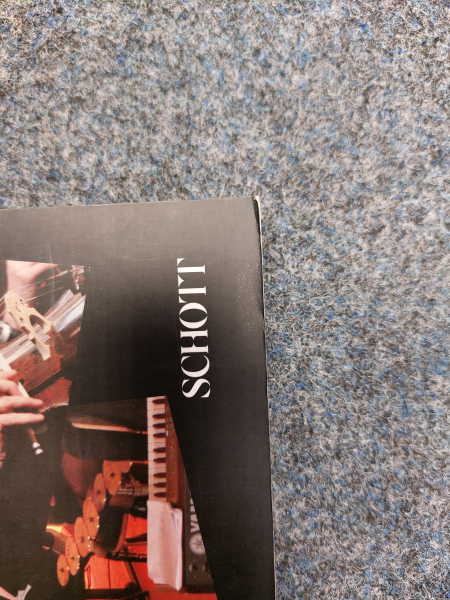 Zukunft@BPhil Unterrichtsmodelle für die Praxis