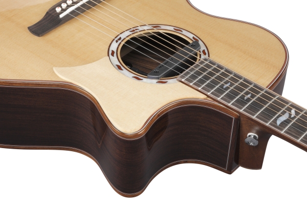 Ibanez MRC10-NT Gitarre