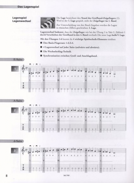 Fit For Guitar - Technik